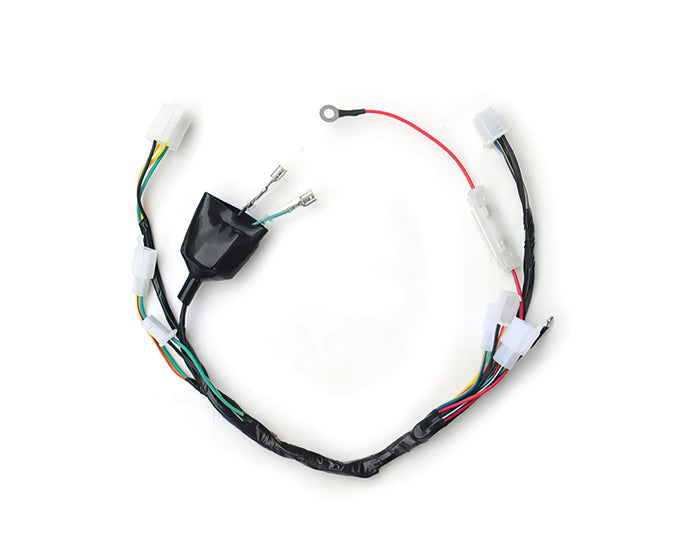 YCF-110-1501-06 Cablaggio con avviamento Pit Bike YCF 88SE / 125SE, COD: YCF-110-1501-06