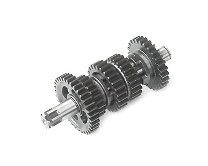 ZONG-100062019 Ingranaggi secondari d.17mm Pit Bike motore Zongshen 190cc