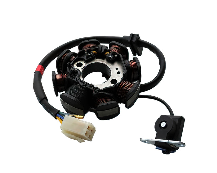 ZONG-100205021-0001 Statore Accensione Pit Bike Zongshen 190cc