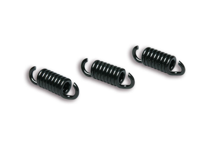 M2912049 Molle Frizione Malossi Delta Clutch, Runner 125-180, nero, COD: M2912049