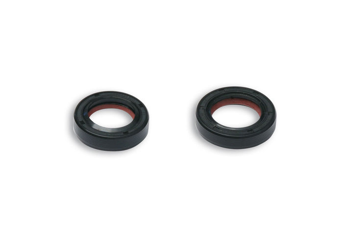 M6618157 Paraolio Albero Motore Malossi, FKM/PTFE, Piaggio (x2)