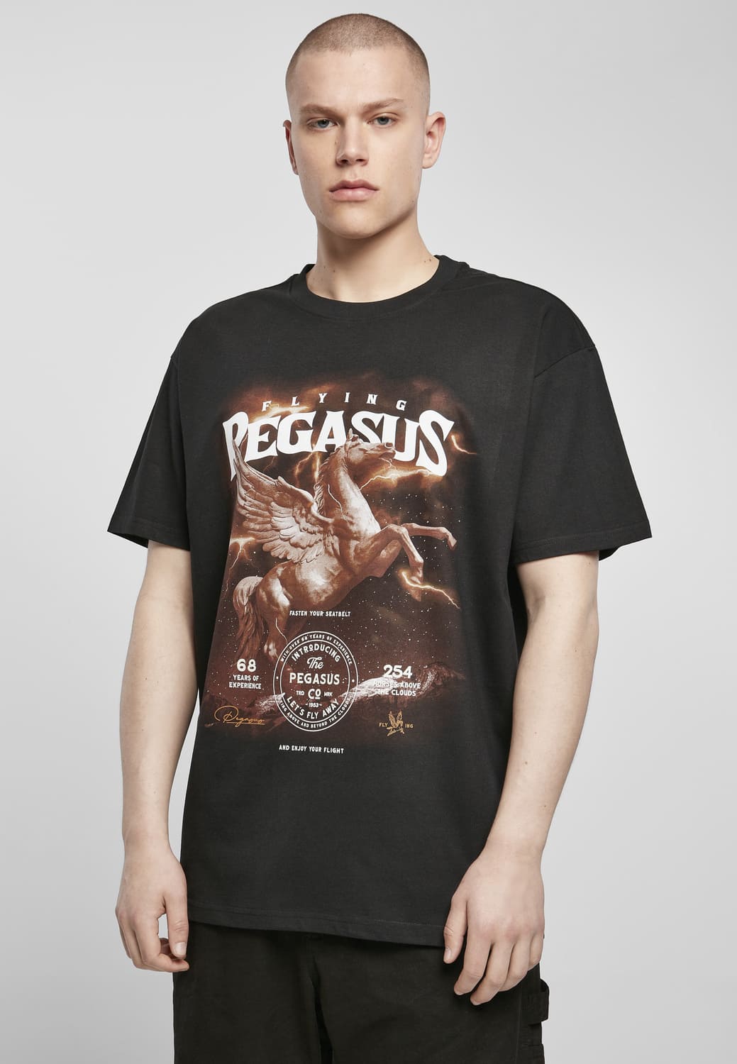MT1838-00007-0060 Pegasus Oversize T-shirt black XXL
