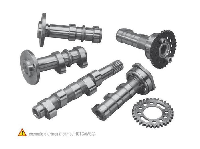 HC-4272-2IN Albero a camme aspirazione Stage 2 Hot Cams Yamaha YZF 250, COD: HC-4272-2IN