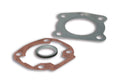 M111689 Kit Guarnizione Cilindro Malossi 50cc D. 40 mm per testa originale Peugeot 103 AC, COD: M111689