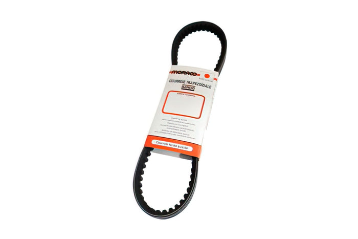 CGN490551 Cinghia Trasmissione Bando 818x19,5x28 € Sym Fiddle 2 125cc dopo 2010