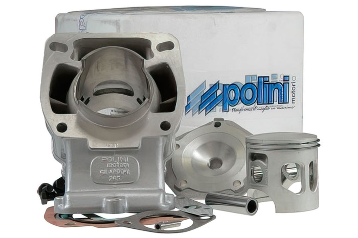 P146.0800 Gruppo Termico Polini, Aprilia RS 125 (Rotax 122 / 123), d=60mm, COD: P146.0800