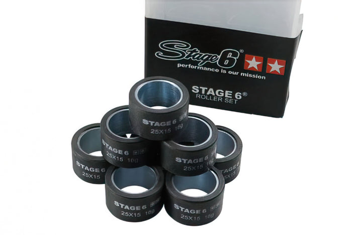 S6-G251600 Rulli variatore (x8) Stage6 Maxidrive 25x15mm - 16g, COD: S6-G251600