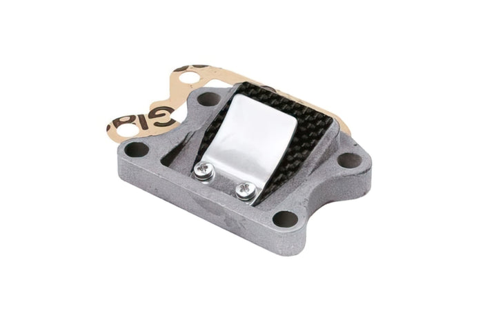 CGN365144 Valvola Doppler S3R con Lamelle in Fibra di Carbonio, Peugeot verticale