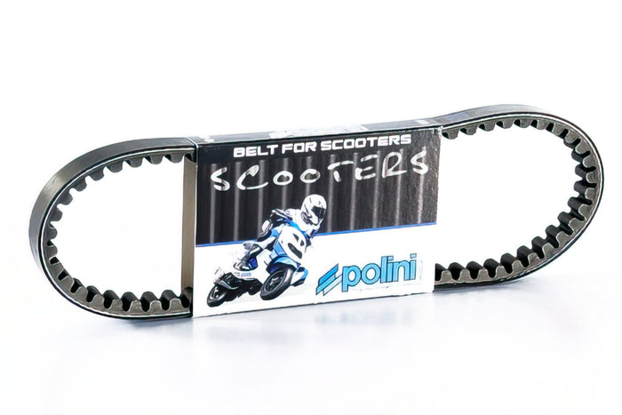 U248.004 Cinghia Polini Original Minarelli corto, COD: U248.004