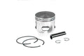 T9915030 Pistone per Trophy T9915010 d=47mm (Peugeot H2O), COD: T9915030