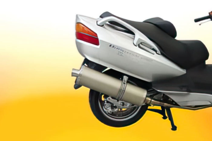M3214232 Marmitta Malossi Wild Lion Piaggio MP3, COD: M3214232