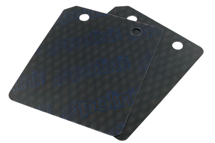 P213.0525 Lamelle in Carbonio per Piaggio-Evo, COD: P213.0525