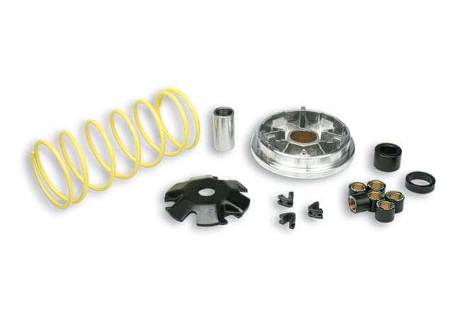 M517081 Variatore Multivar Malossi, Piaggio Sfera / Zip (Anno 91-94), COD: M517081