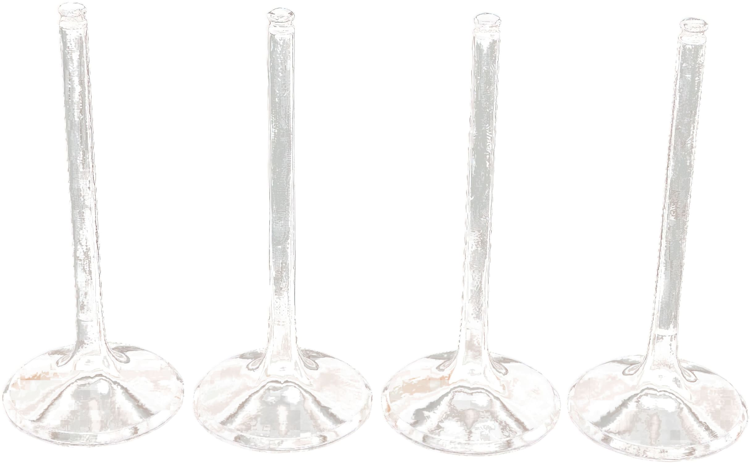 MR09262581 Moose Racing Pro Valve Kit CRF 450 titanium + steel