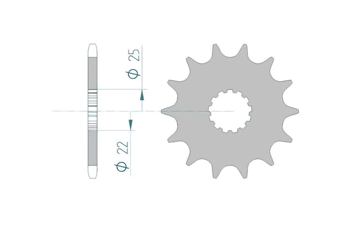 1076561001 Pignone Afam autopulente Z13 Kawasaki / Yamaha, COD: '1076561001