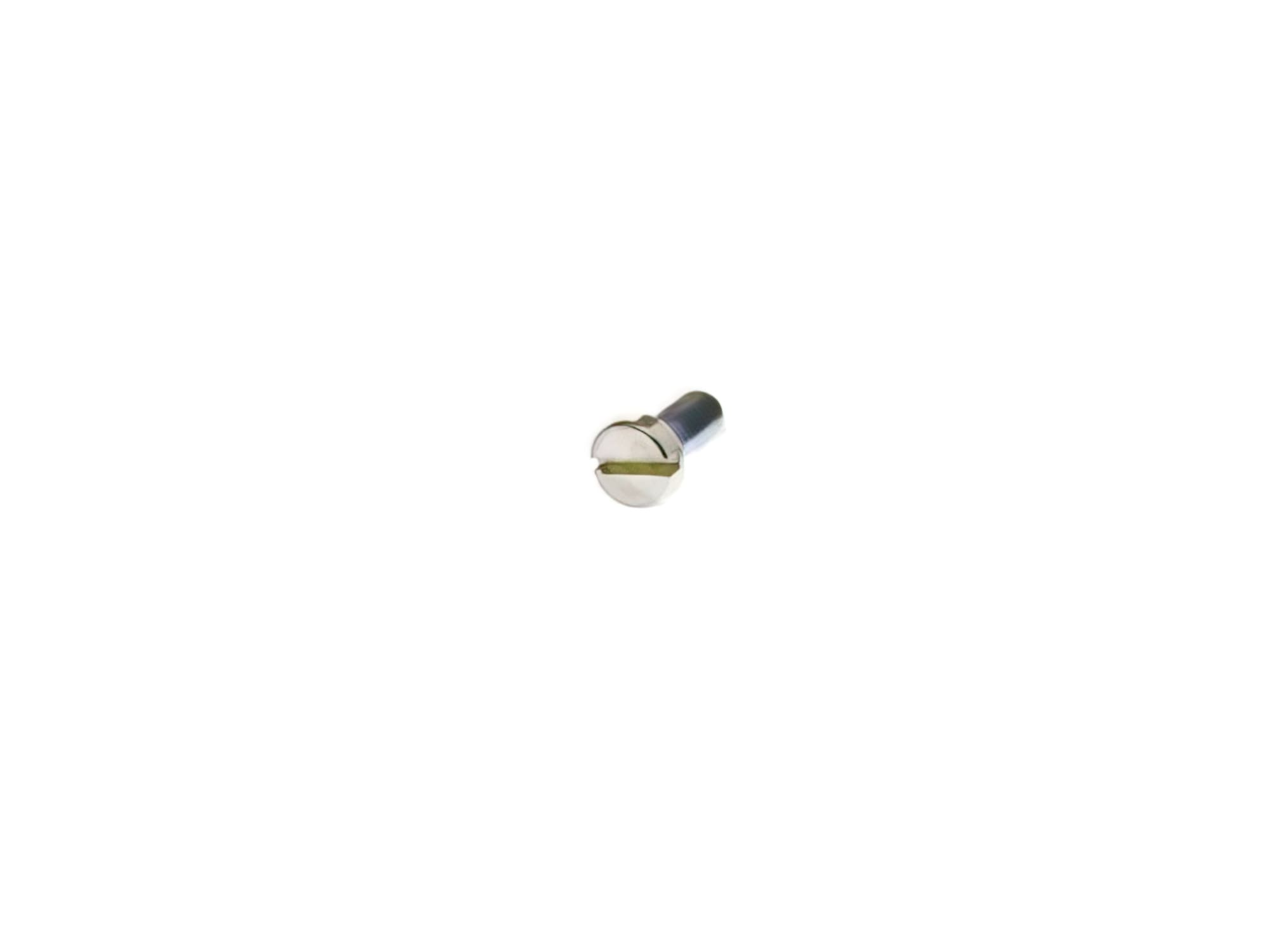 L-DEL0419000-36 Vite supporto filtro carburante Dellorto SHA, COD: L-DEL0419000-36