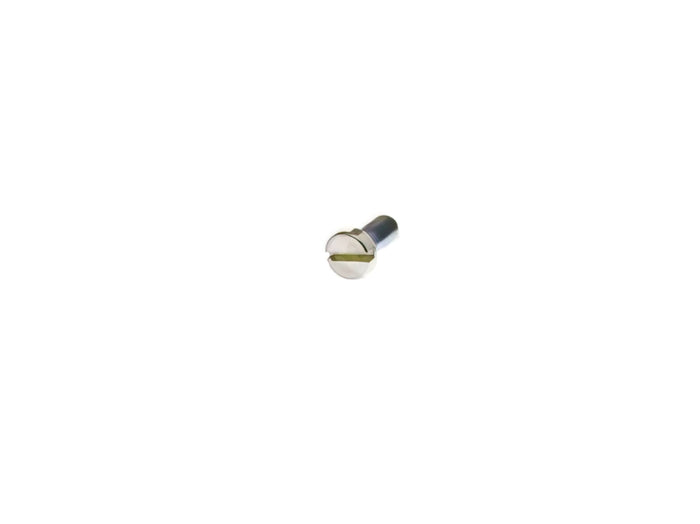 L-DEL0419000-36 Vite supporto filtro carburante Dellorto SHA, COD: L-DEL0419000-36