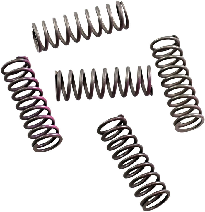 HIN-CS330-5-0509 Kit molle frizione Hinson CRF 250 10-17