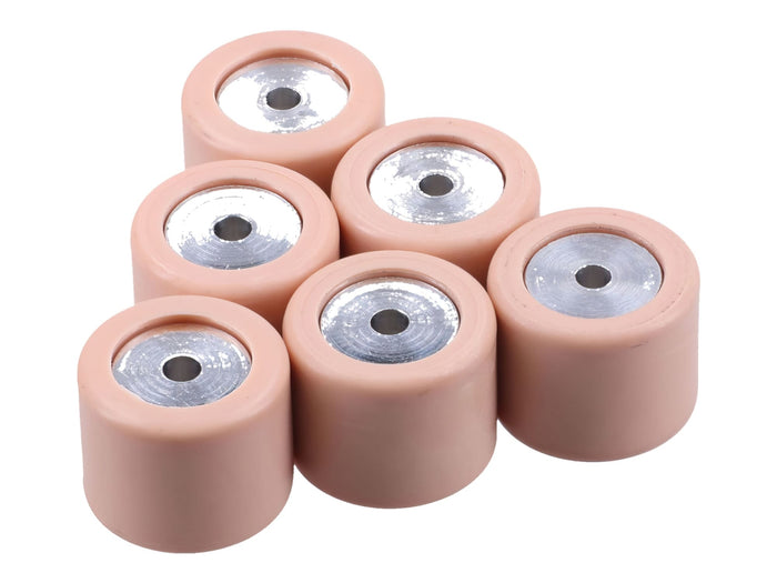 OE-PIACM1102015 Rulli variatore (x6) 19x15,5mm - 7,5g - ricambi originale Piaggio dopo 1998, COD: OE-PIACM1102015