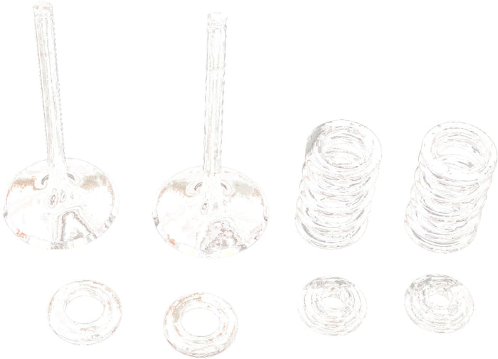 MR09262467 Kit valvole aspirazione inox Moose Racing SX-F 250, COD: MR09262467