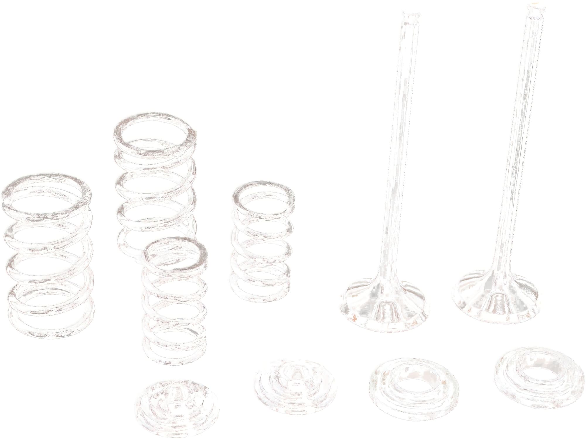 MR09262468 Kit valvole scarico inox Moose Racing SX-F 250, COD: MR09262468
