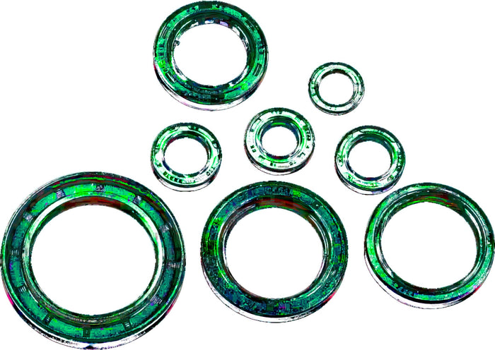 MR09351057 Kit Paraolio completo Moose Racing CRF 250, COD: MR09351057