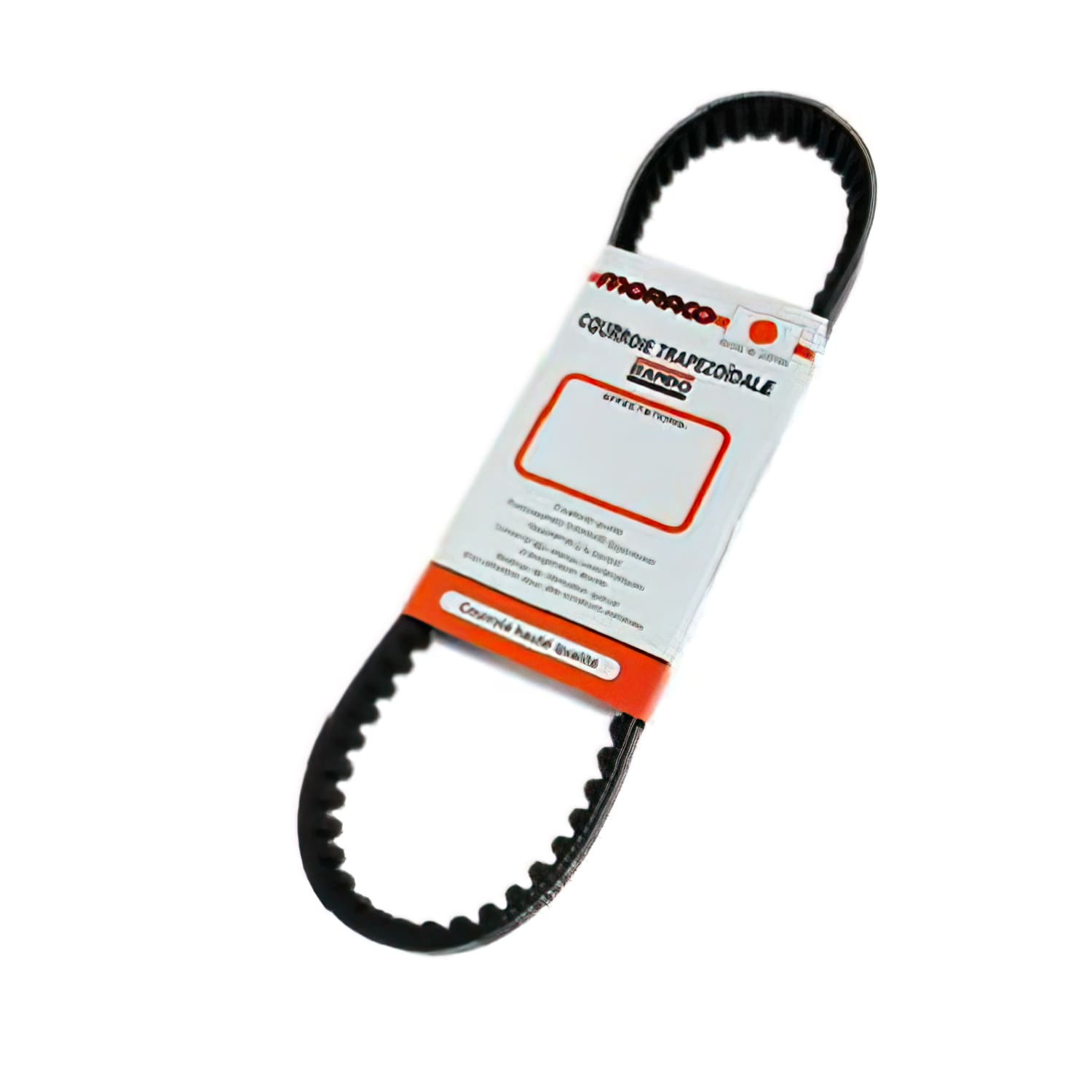 CGN484336 Cinghia Bando Sym 50 Orbit 2