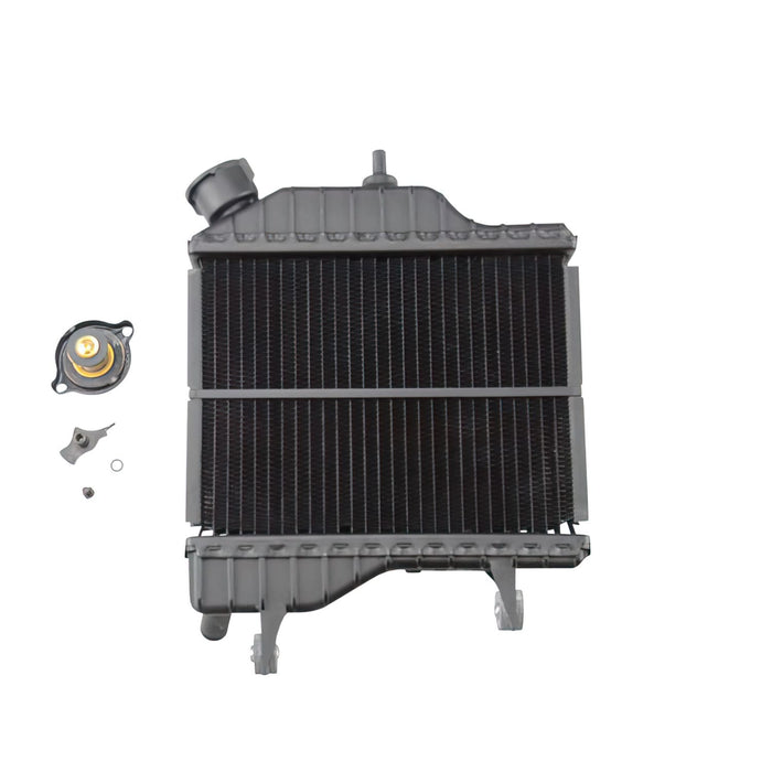 OE-MAL4BAE24600000 Radiatore OEM Yamaha TZR / X-Power, COD: OE-MAL4BAE24600000
