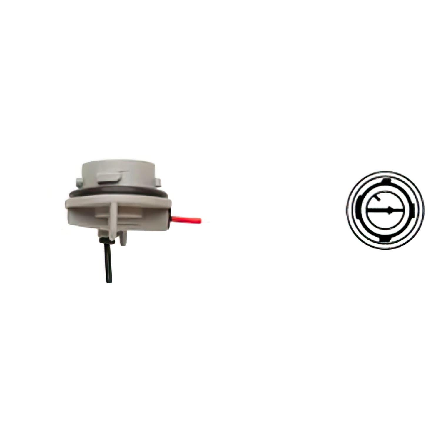 CGN509365 Flösser Lamp Holder 12V BAU15S - with cable