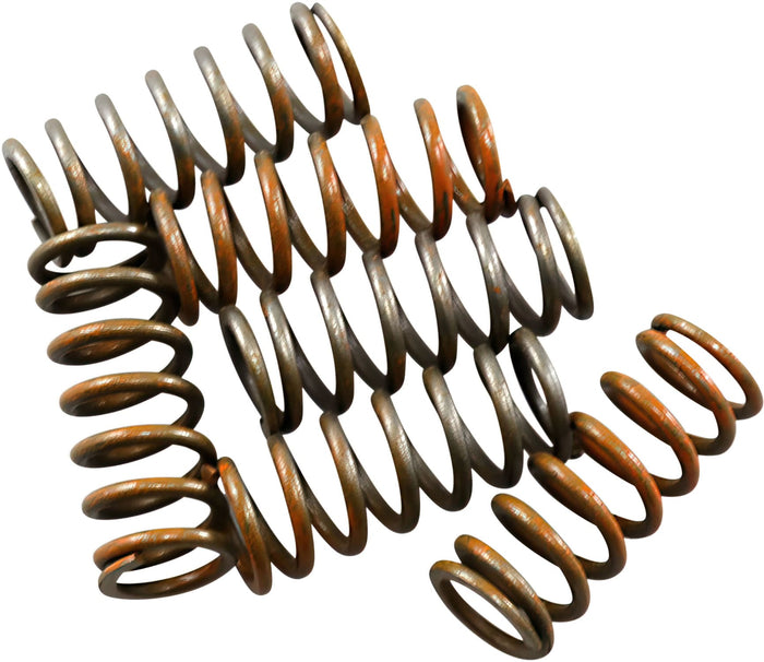 HIN-CS855-6-0116 Kit molle frizione Hinson SX-F 250 / 350