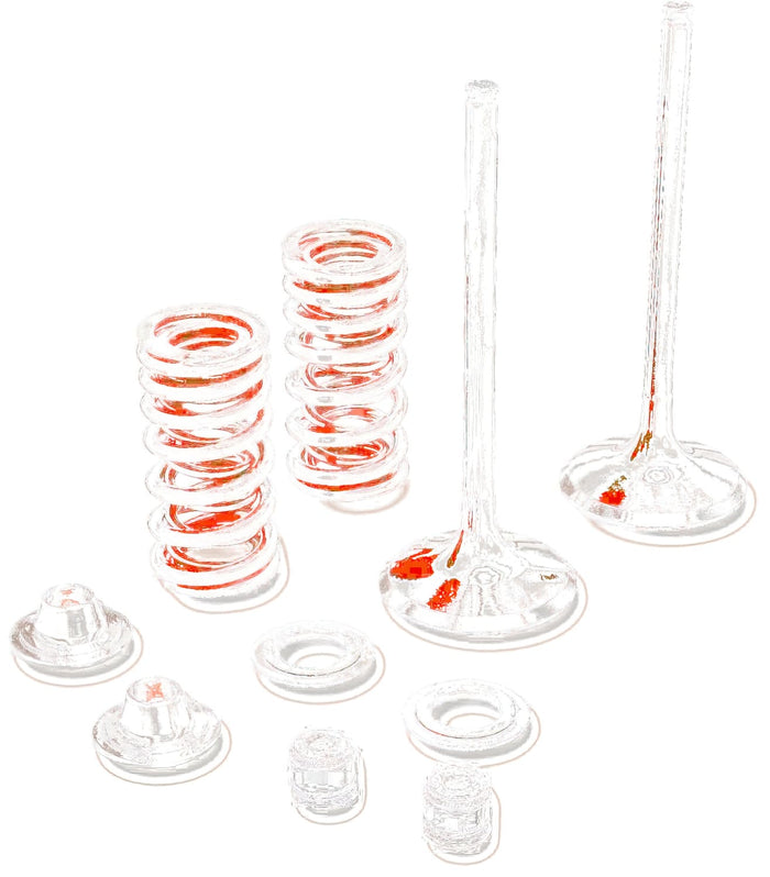 MR09262444 Kit valvole scarico inox Moose Racing KXF 250