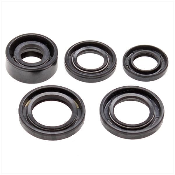 SP-93951 Set paraolio motore Honda Dax