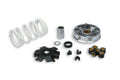 M5113790 Variatore Multivar 2000 Malossi, Kymco Super 8, 4T (euro 2), COD: M5113790