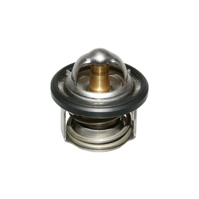 OE-PIA82831R5 Calorstat Piaggio Vespa GTS 125 - 300cc