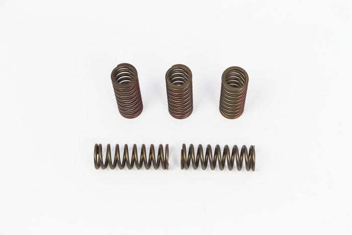 PC-11313558 Molle frizione Pro Circuit CRF 250 dopo 2020, COD: PC-11313558