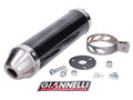 GIA43651HF Silenziatore Giannelli Street Carbone CE Aprilia RS / Yamaha TZR, COD: GIA43651HF