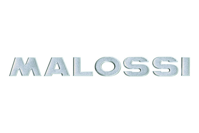 M3313735.20 Adesivo 3D Malossi Argento 21 cm - Billaricambi SRLS