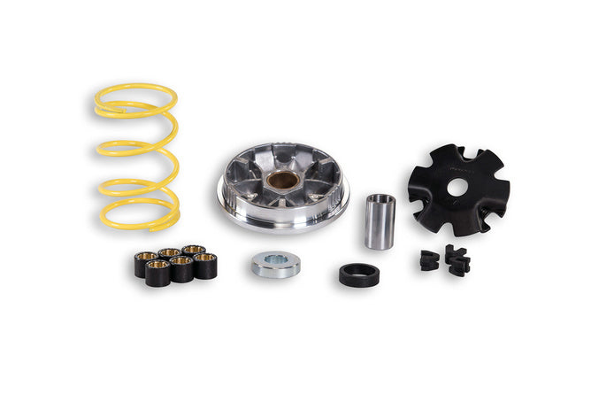 M517074 Variatore Malossi Multivar 2000 Peugeot SC - Billaricambi SRLS