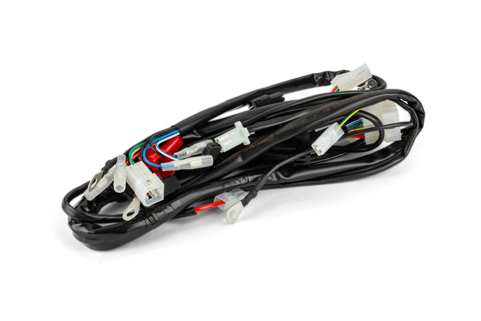 OE-RIE0/000.160.7009 Cablaggio Rieju RS2 / Rieju RS2-Pro 2006