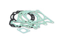 P209.0479 Set guarnizioni cilindro Polini Vespa 300 - Billaricambi SRLS