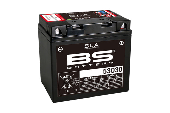 BS-300880 Batteria SLA BS Battery 12V - 31,6Ah - Billaricambi SRLS