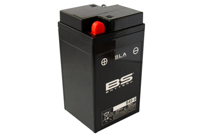 BS-300918 SLA Battery BS Battery B49-6 6V 10.5Ah