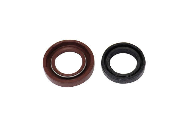 ART-170214 Set paraolio albero motore Derbi Variant Start 5