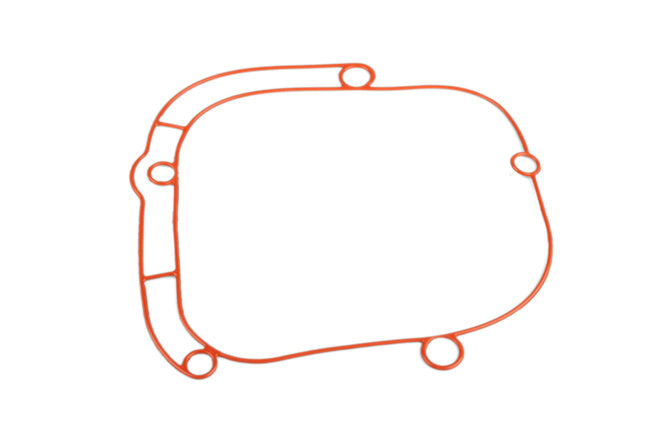 S6-22140ET07 O-Ring carter ingranaggi Piaggio Zip Stage6 R/T MK2 - Billaricambi SRLS