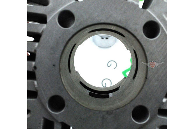 PM42204.00 Gruppo termico d.44mm Parmakit Sport Kreidler Florett RS