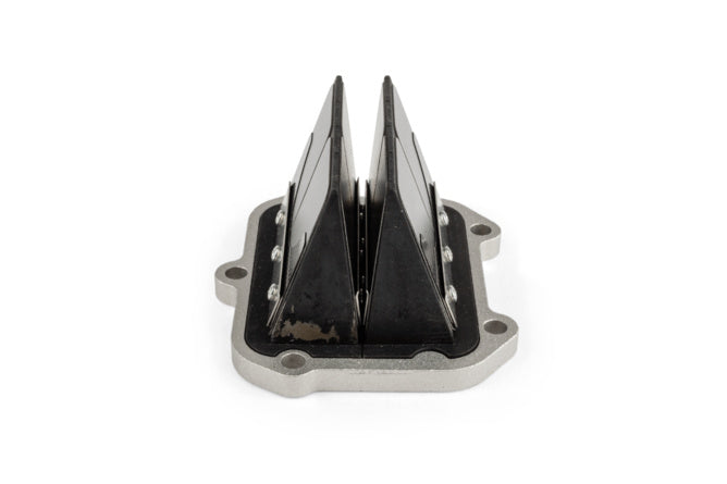IKLC.01.125.0 Valvola lamellare Italkit Doble Prisma Vetronit Aprilia RS 125cc (Motor 122) - Billaricambi SRLS