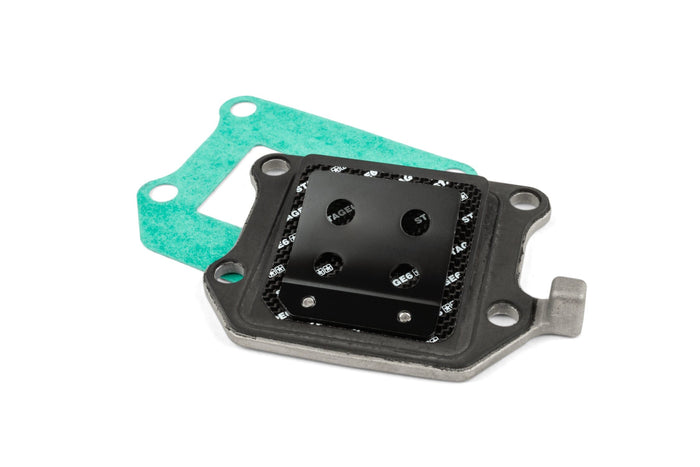 S6-3219068/VT Valvola a lamelle Stage6 Viton Minarelli verticale, COD: S6-3219068/VT