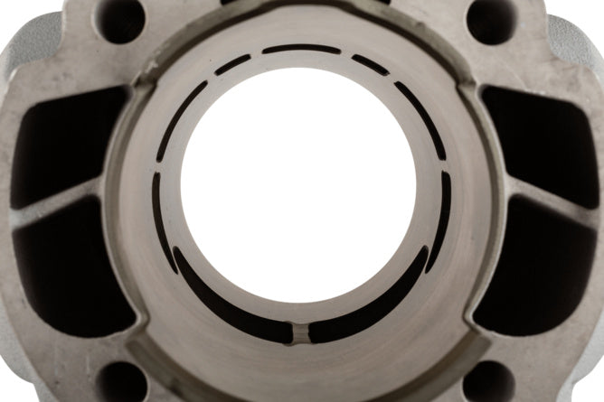 M3119145 Gruppo termico Malossi Testa Rossa 100 Derbi