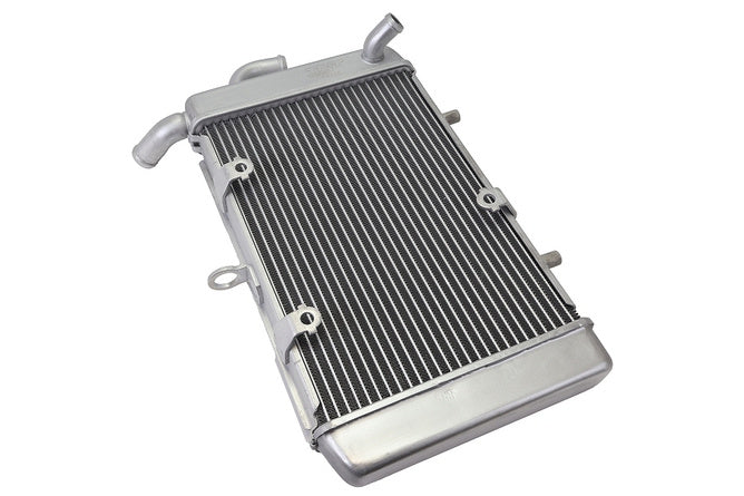 A093600V Radiatore Yamaha Xmax / Tricity - Billaricambi SRLS