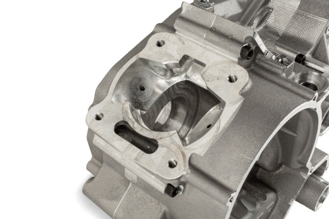 T99CRAF1000 TPR Factory FL100 AM6 engine crankcase